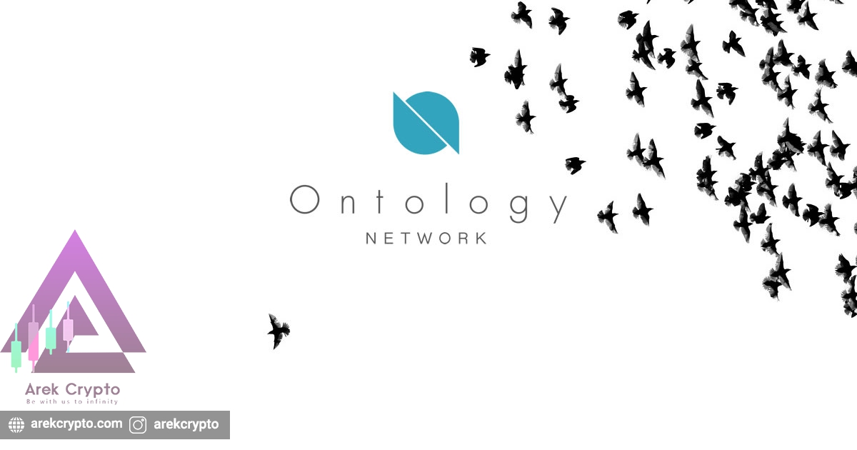 ONT چیست؟ معرفی Ontology و هر آنچه باید بدانید.