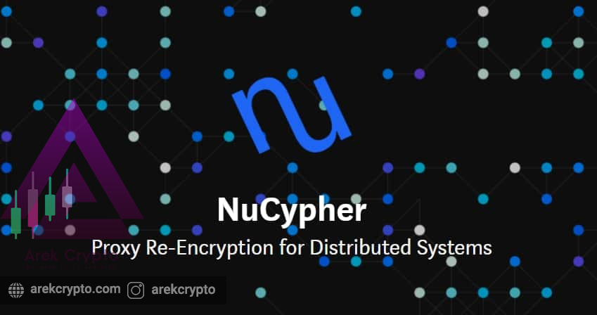 NUCYPHER یک سیستم دیجیتالی غیرمتمرکز,آشنایی با توکن NU